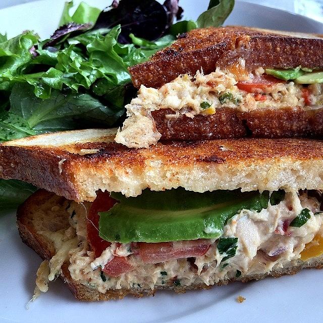 Oh That Tuna Melt Right There 🙀 Take Photograph by Vicky Hatata
