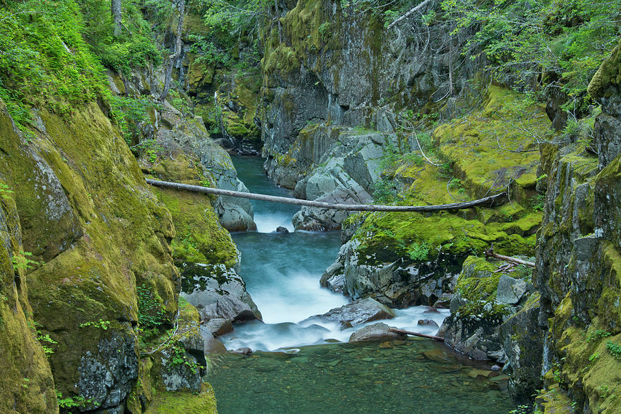 Ohanapecosh River Silver Falls Mount Photograph By Michel Hersen Pixels 6447