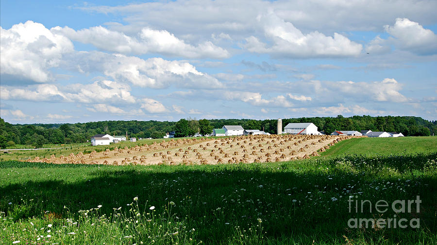 Ohio Amish Farm Photograph by Lila Fisher-Wenzel