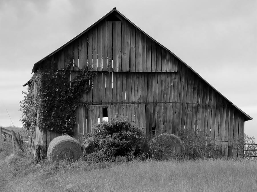 Ohio Barn Photograph by Wendy Gertz