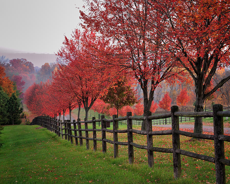 Ohio Country Roads In Autumn Photograph By Dick Wood