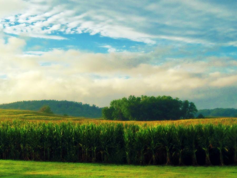 Nature Photograph - Ohio Countryside by Andrea Dale
