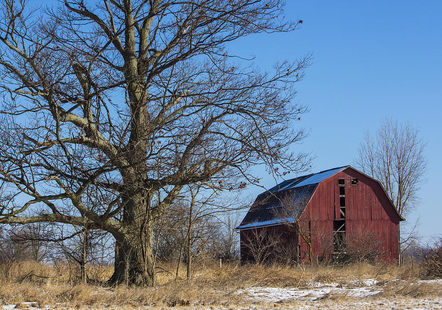Ohio Red Barn Photograph by Kathleen Scanlan