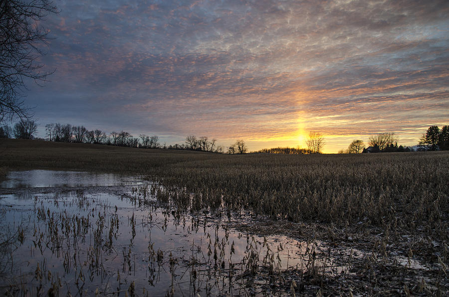 Ohio Sun Flare Photograph by Matt Hammerstein