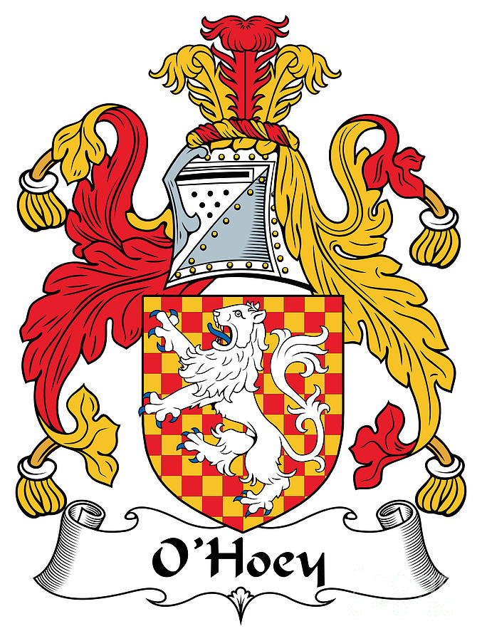 OHoey Coat of Arms Irish Digital Art by Heraldry