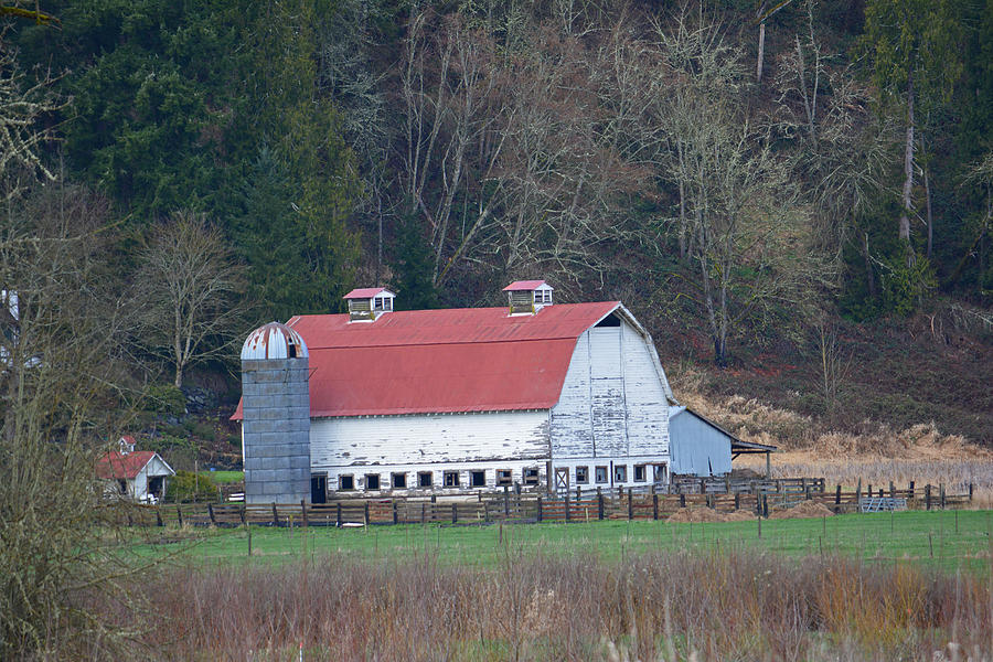 Ohop Valley Barn Photograph by Tikvahs Hope