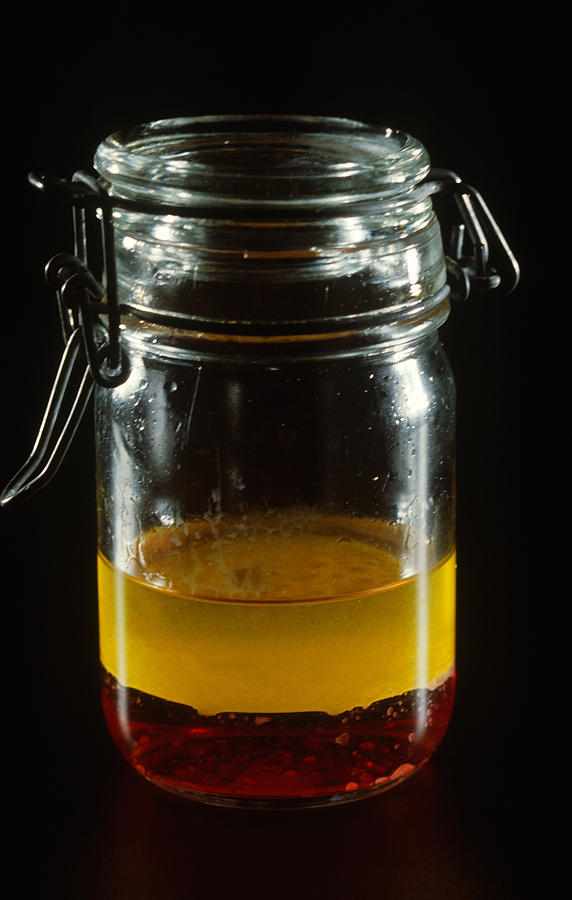 Oil And Water Dont Mix Photograph by Biology Pics Pixels