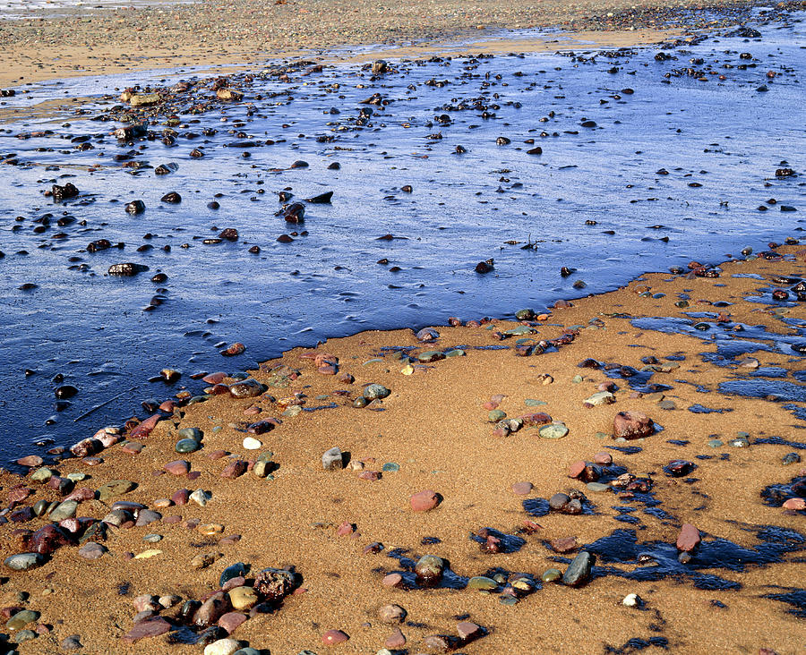Beach Photograph - Oil Covering A Sandy Beach by Simon Fraser/science Photo Library