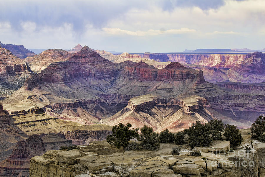 Grand Canyon National Park Photograph - Oil paint Grand Canyon by Chuck Kuhn