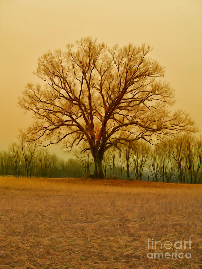 Tree Photograph - Oil Painted Shawshank Redemption Tree by Brian Mollenkopf Tree Photograph - Oil Painted Shawshank Redemption Tree by Brian Mollenkopf