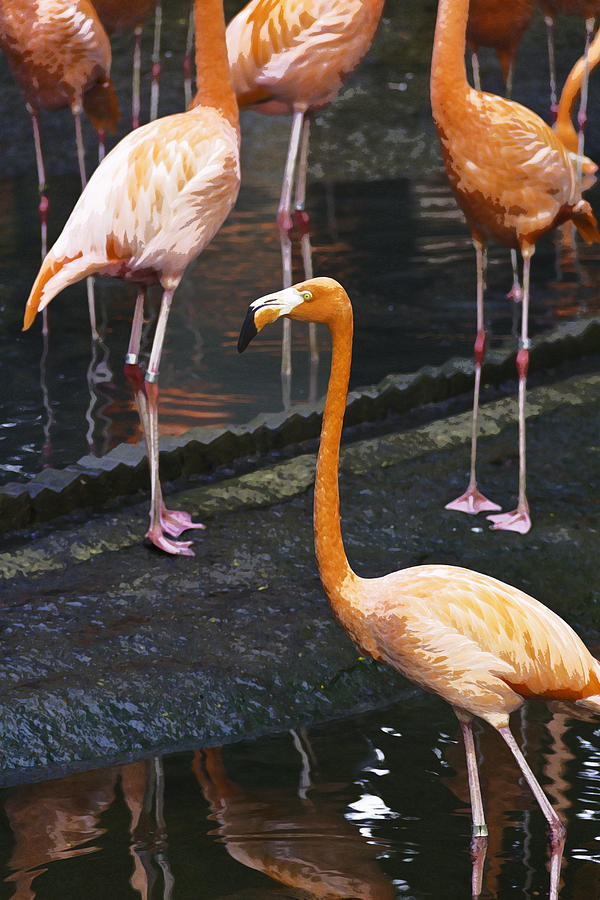 Oil Painting - Focus on a single Flamingo inside the Jurong Bird Park Digital Art by Ashish Agarwal