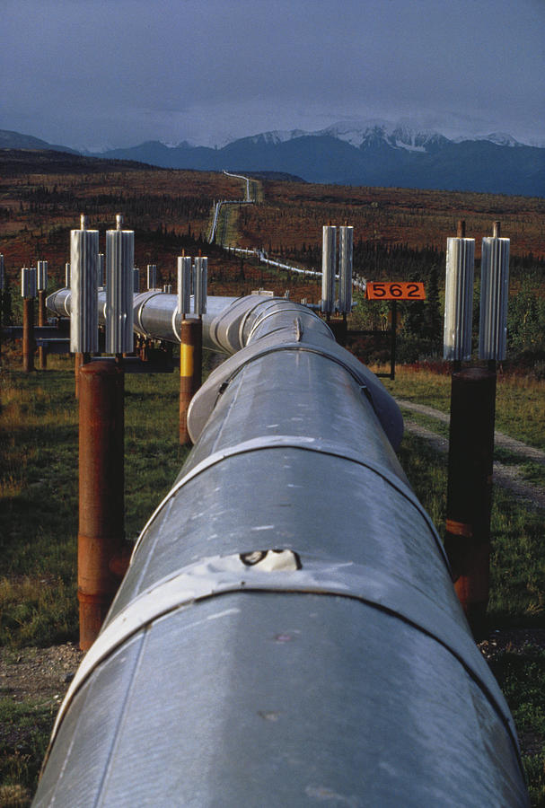 Oil Pipeline, Alaska Photograph by Charlie Ott