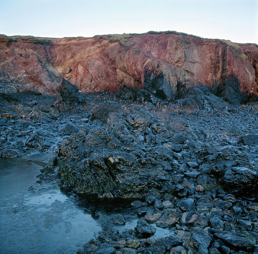 Oil Pollution Photograph by Robert Brook/science Photo Library - Fine ...