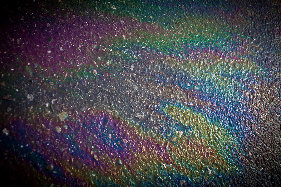 Oil Rainbow Photograph by Alexander Fedin