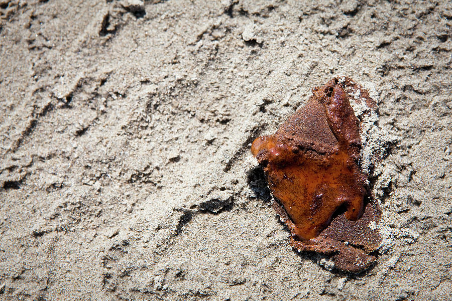Beach Photograph - Oil Slick On Sand, Grand Isle by Steele Burrow