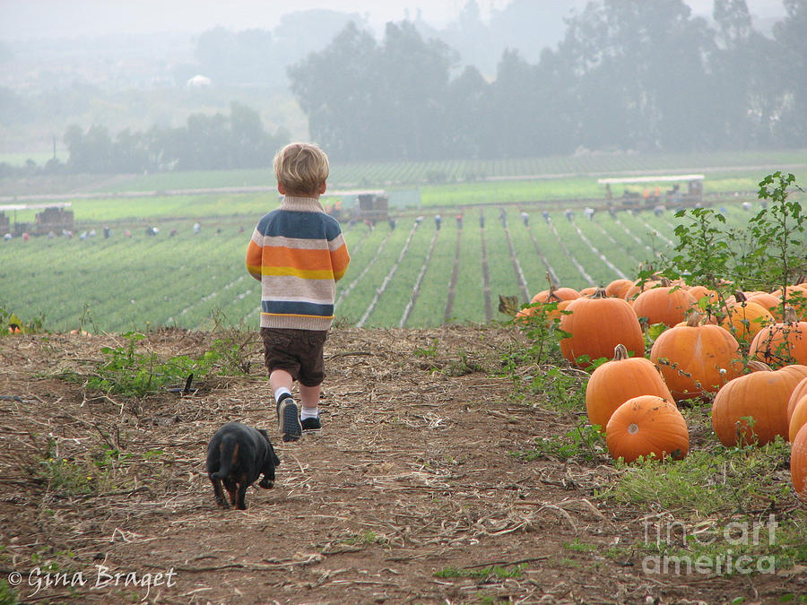 Ojai Pumpkin Patch.  A boy and his dog scout the perfect one. Photograph by Gina Braget 