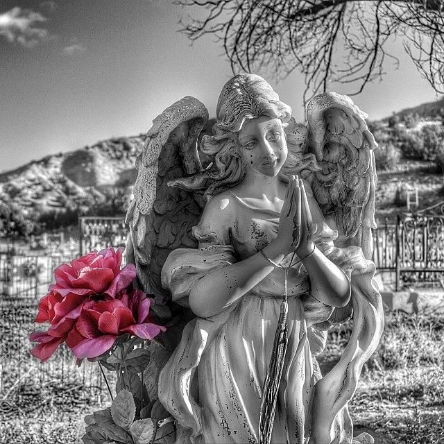 Mountain Photograph - Ojo Caliente Cemetery~new by Gia Marie Houck
