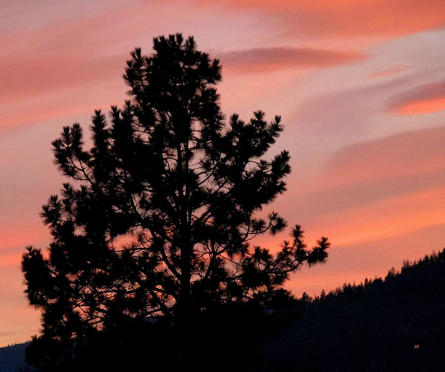 Sunset Photograph - Okanagan Valley Splendor by Will Borden