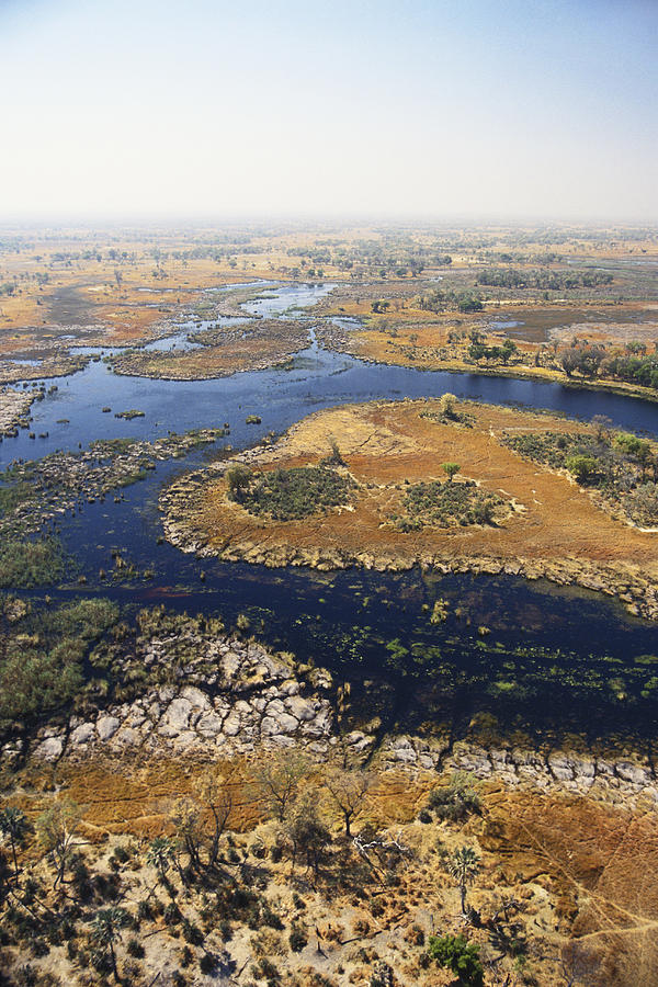 Okavango Delta Photograph by F. Stuart Westmorland