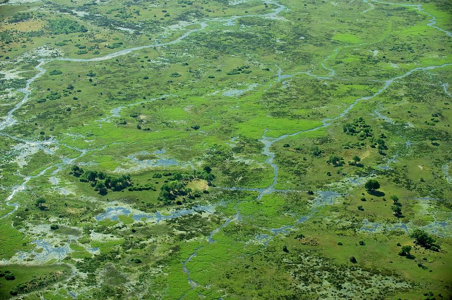 Landscape Photograph - Okavango Delta by Louise Murray/science Photo Library