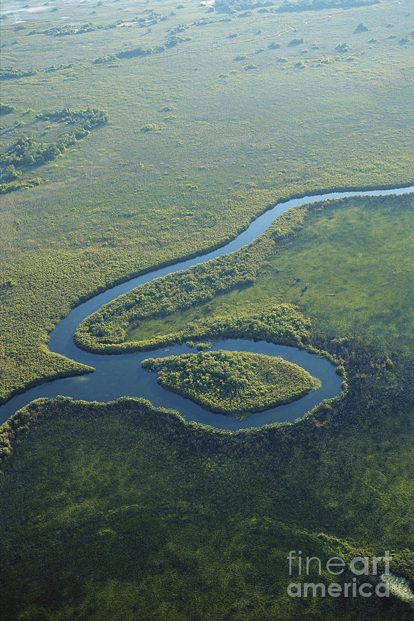 Okavango River Photograph by Gregory G. Dimijian, M.D.