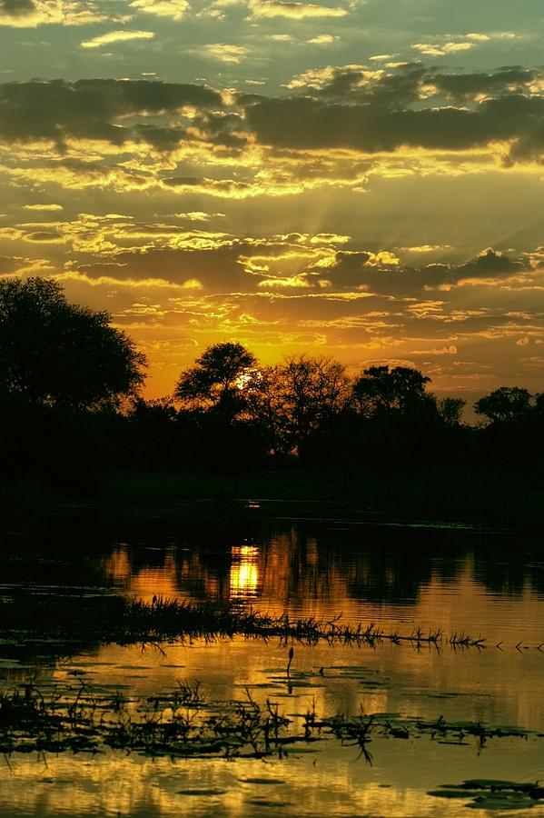 Okavango Sunset Photograph by Amanda Stadther