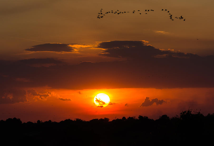 Sunset Photograph - Okeechobee Sunset by Mark Little