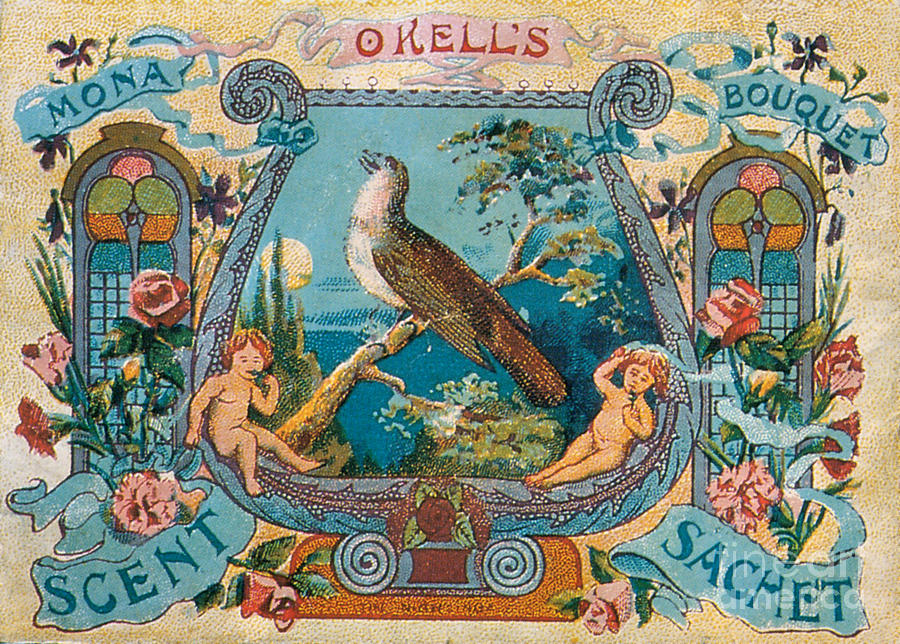 Okells Scent Sachet 1895 Photograph by Science Source