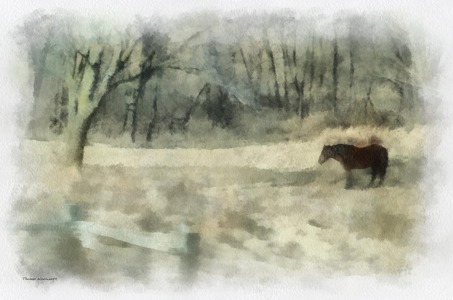 Winter Photograph - Oklahoma Field Horse During Winter Photo Art 01 by Thomas Woolworth