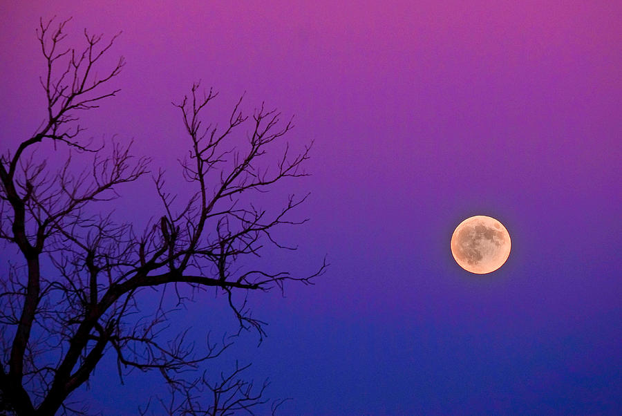 Oklahoma Moon Photograph by Valerie Avalos - Fine Art America