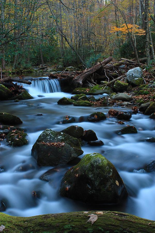 Oconoluftee Mountain Stream Photograph by Nunweiler Photography