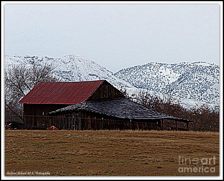 Barn Photograph - Ol Nevada Dwelling by Bobbee Rickard