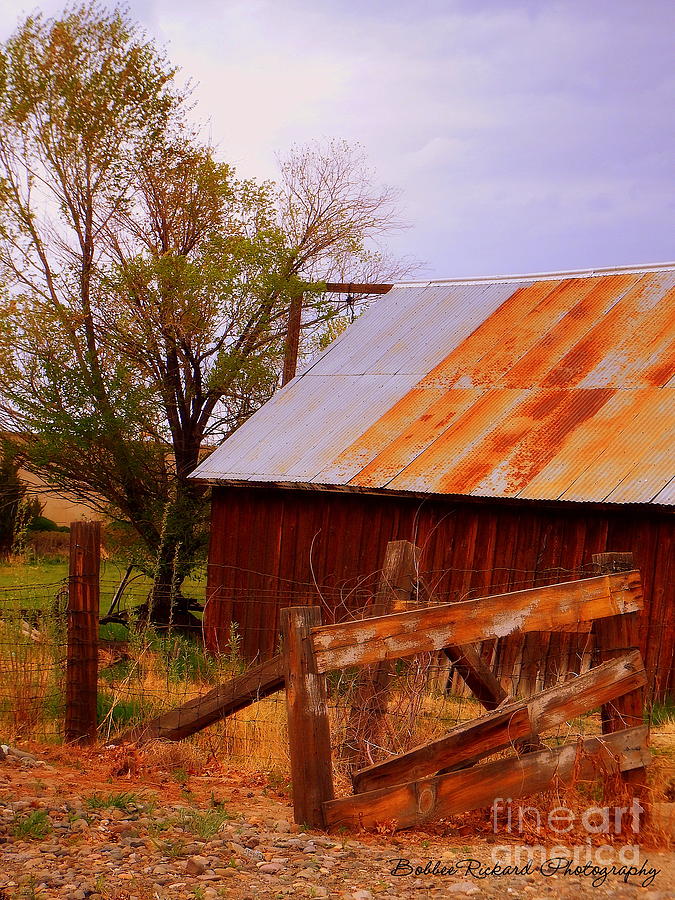 Barn Photograph - Ol Nevada Farm by Bobbee Rickard