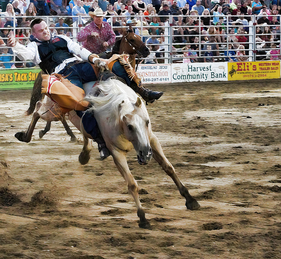 Ol Whitey Photograph By Alice Gipson - Fine Art America