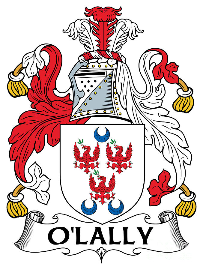 Olally Coat Of Arms Galway Digital Art By Heraldry Pixels