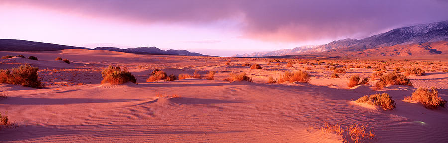 Mountain Photograph - Olancha Sand Dunes, Olancha by Panoramic Images