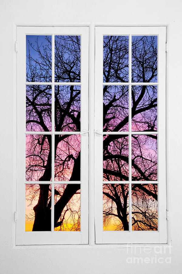 Old 16 Pane White Window Colorful Sunset Tree View  Photograph by James BO Insogna