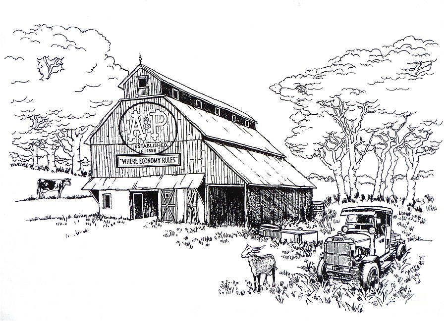 Old A and P Barn in Indiana Drawing by Robert Birkenes