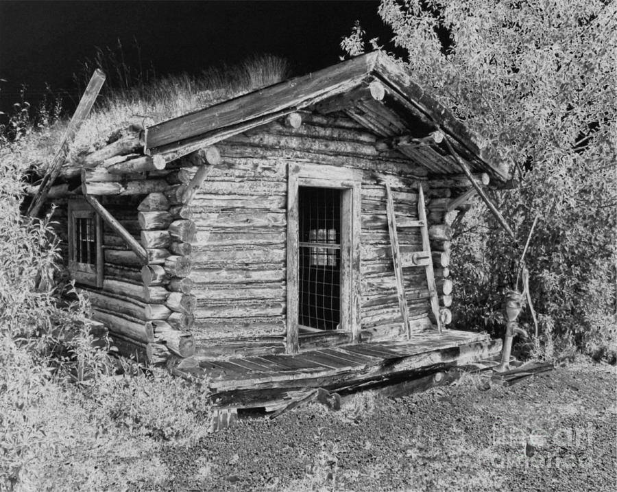 Old Abandoned Cabin Drawing by Tlynn Brentnall