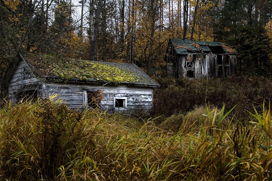 Old Abandoned Homestead Photograph By Wally Edwards - Fine Art America