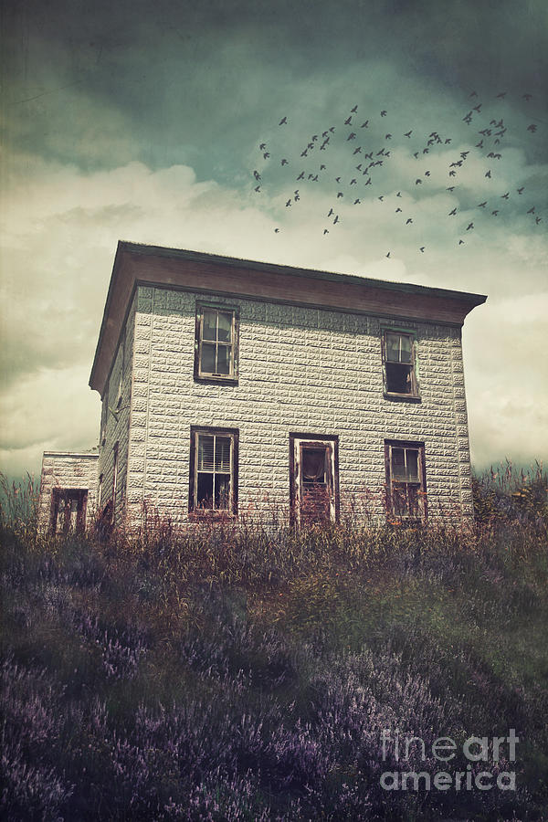 Old abandoned house on the hill Photograph by Sandra Cunningham