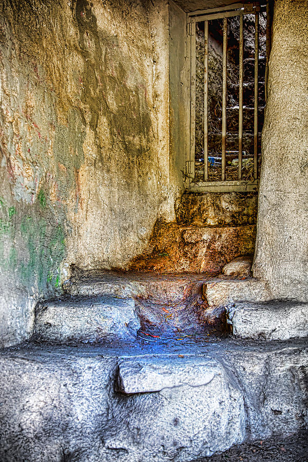 Zoo Digital Art - Old Abandoned La Zoo - Entrance To The Lions Den by Purple Moon Zoo Digital Art - Old Abandoned La Zoo - Entrance To The Lions Den by Purple Moon