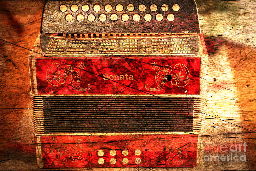 Old Accordion - Music - Woodgrain Photograph by Barbara A Griffin