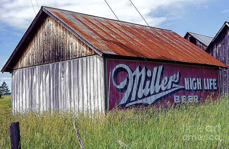 Old Advertising on Mid West Barn for Miller High Life Beer. Photograph by Robert Birkenes