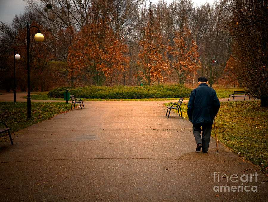 Fall Photograph - Old aged man walks in park by Michal Bednarek