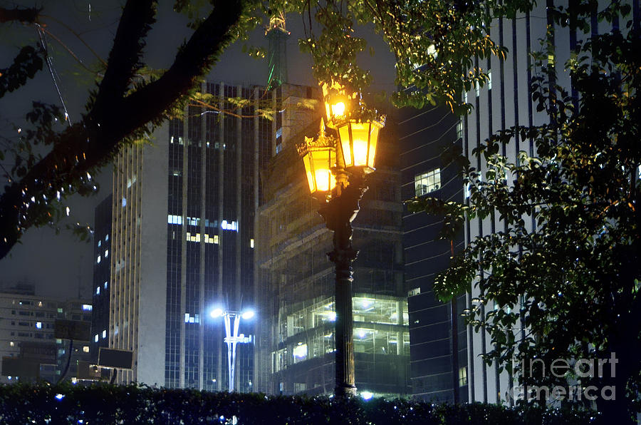 Old and New Lamp Posts - Paulista Avenue Photograph by Carlos Alkmin