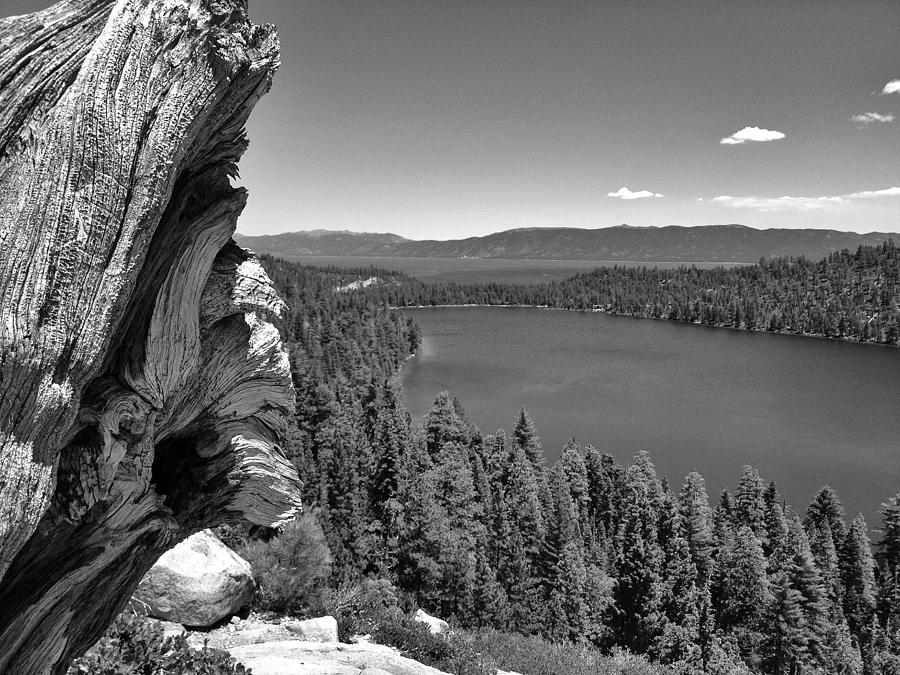 Old and New of Cascade Lake B and W Photograph by Dave Hall