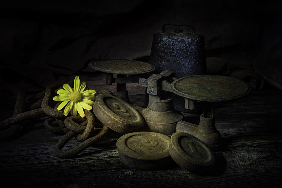 Vintage Photograph - Old and Rusted Still Life by Tom Mc Nemar
