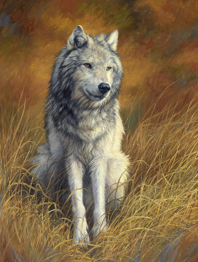 Wolf Painting - Old and Wise by Lucie Bilodeau