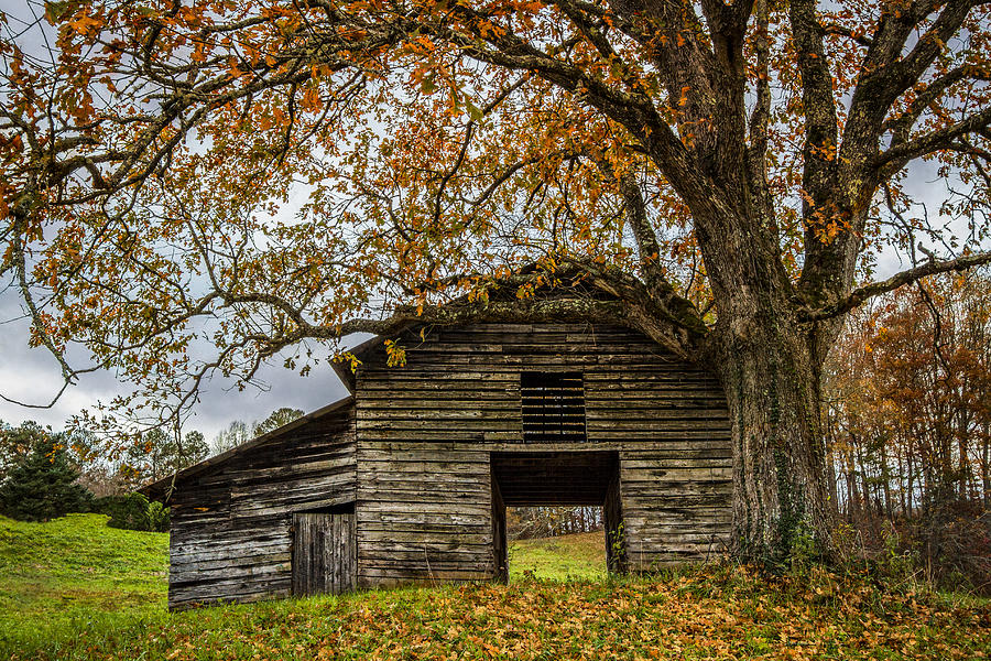 Barn Photograph - Old Appalachian Barn by Debra and Dave Vanderlaan